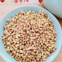 【精品】正宗凉山苦荞茶新货发全国一件代发量大优惠