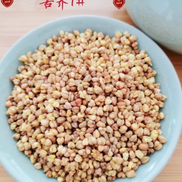 【精品】正宗凉山苦荞茶新货发全国一件代发量大优惠