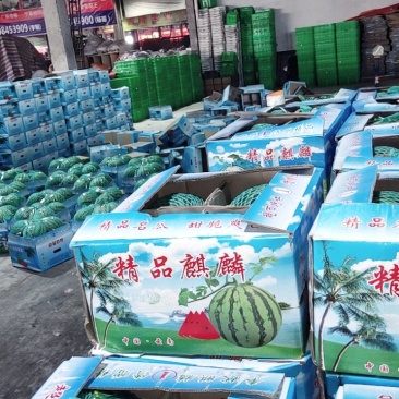 蒙阳雨润市场西瓜处理