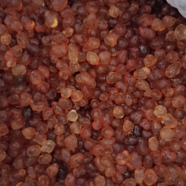 桃胶大量批发零售