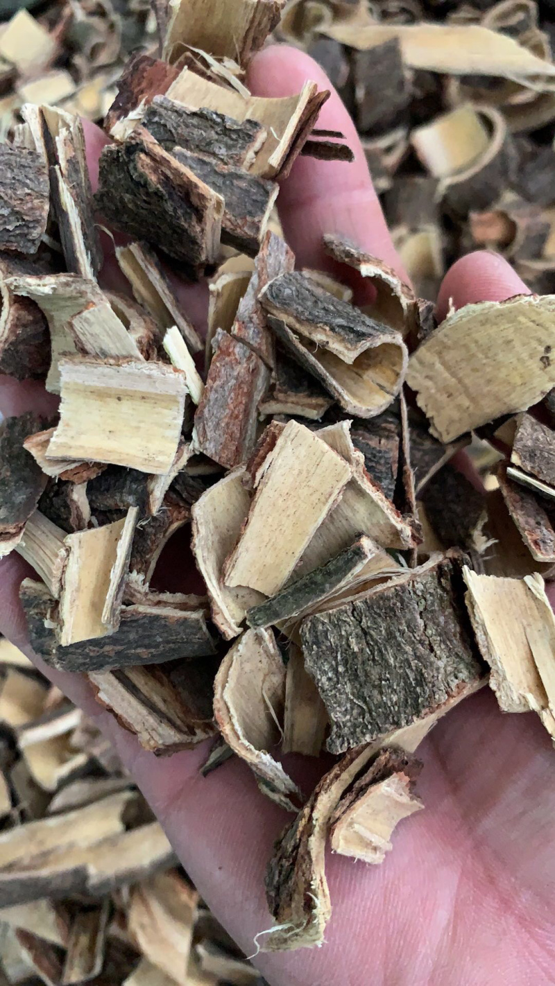 合欢皮靓货合欢皮片及合欢皮丝