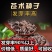 苍术种子发芽率高支持货到付款提供种植技术