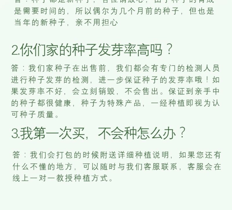 苍术种子发芽率高支持货到付款提供种植技术