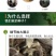 苍术种子发芽率高支持货到付款提供种植技术