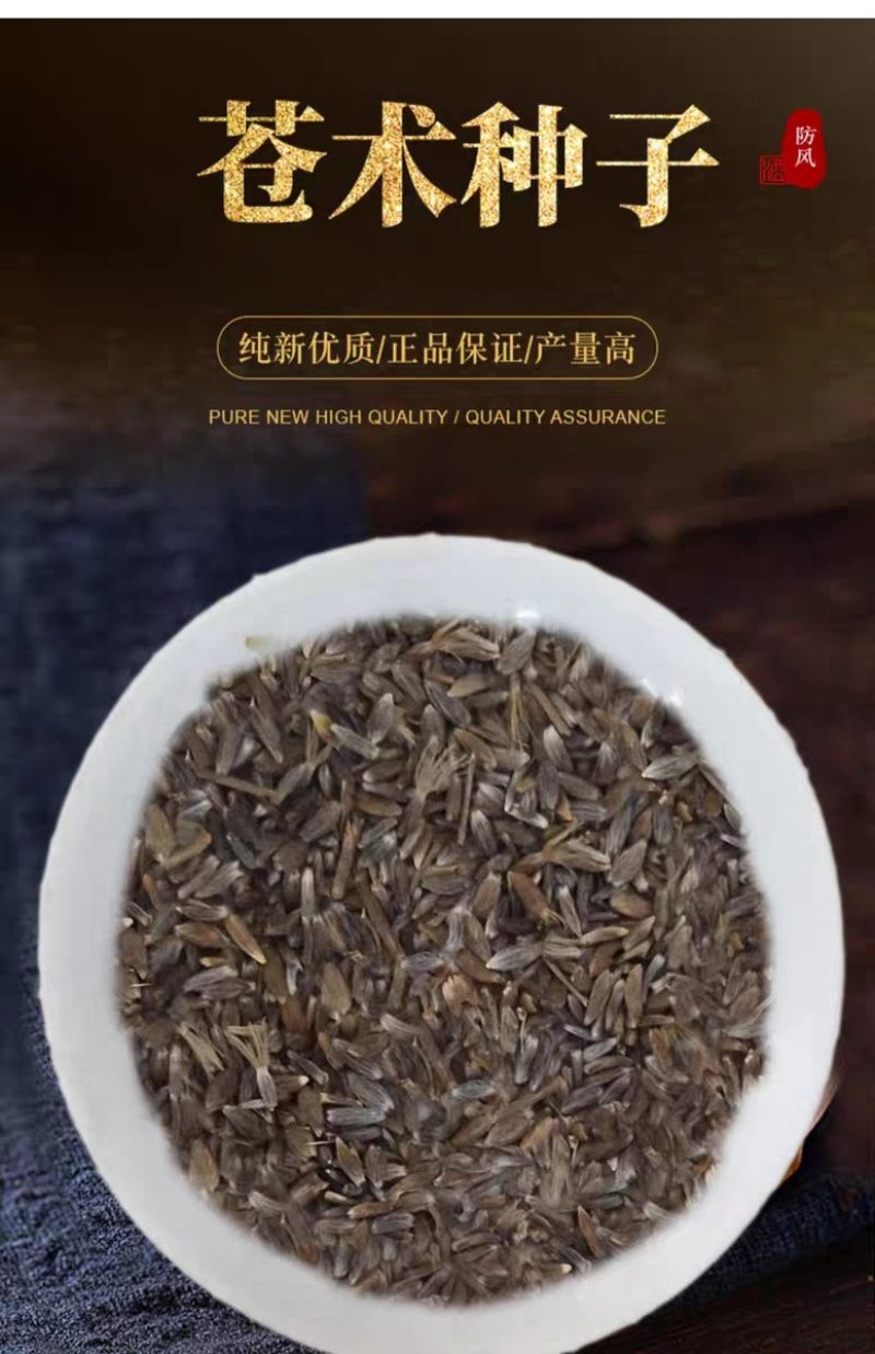 苍术种子发芽率高支持货到付款提供种植技术