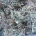 紫花地丁草地丁草产地，质量保证