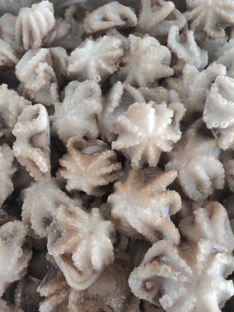 纯原汁三去盐揉小八爪鱼盐磨小章鱼捞汁熟食食材八爪鱼
