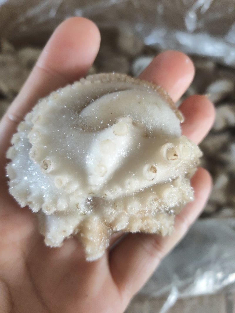 纯原汁三去盐揉小八爪鱼盐磨小章鱼捞汁熟食食材八爪鱼