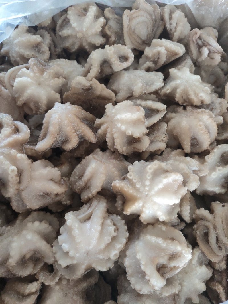 纯原汁三去盐揉小八爪鱼盐磨小章鱼捞汁熟食食材八爪鱼