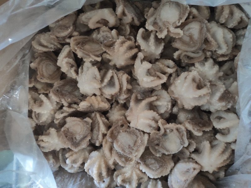 纯原汁三去盐揉小八爪鱼盐磨小章鱼捞汁熟食食材八爪鱼