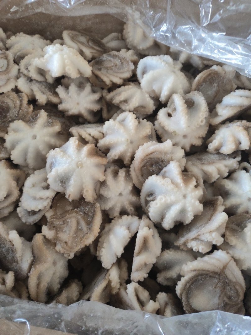 纯原汁三去盐揉小八爪鱼盐磨小章鱼捞汁熟食食材八爪鱼