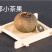 正宗新会小青柑装正宗云南普洱熟茶柑郎柑普茶