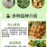 广西黄皮苗树无核黑黄皮果苗鸡心白砂糖黄皮树苗南方种植嫁接