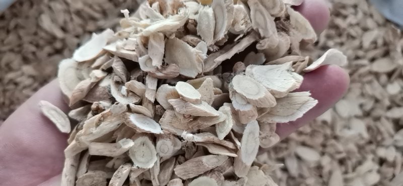 黄芪产地直供大量批发零售