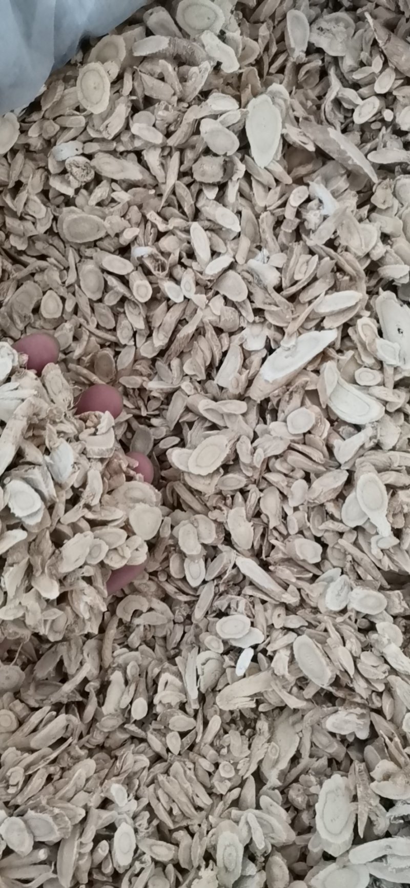 黄芪产地直供大量批发零售