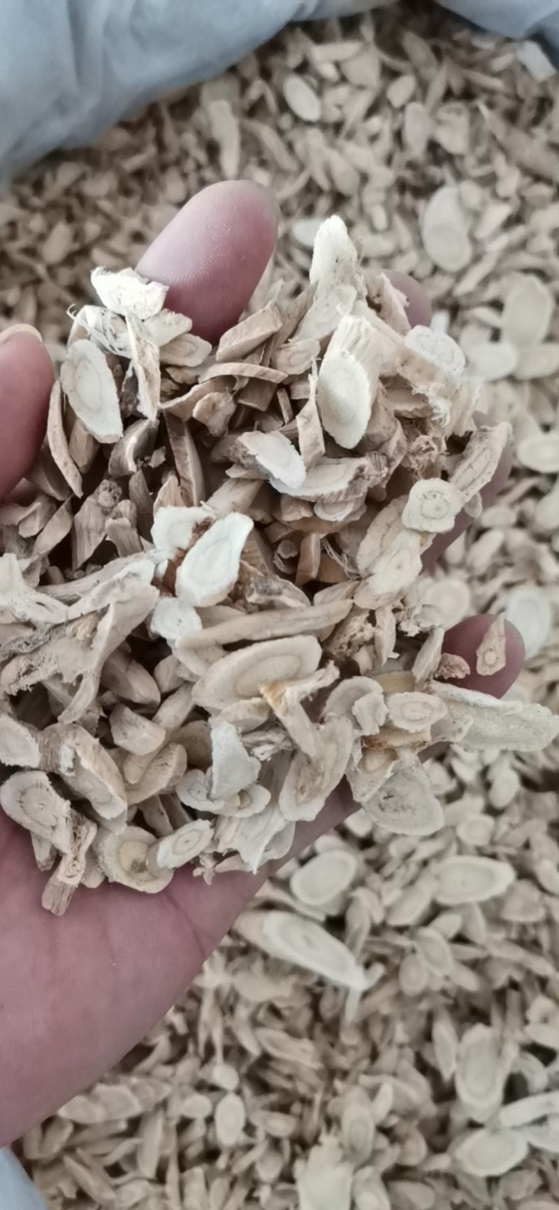 黄芪产地直供大量批发零售