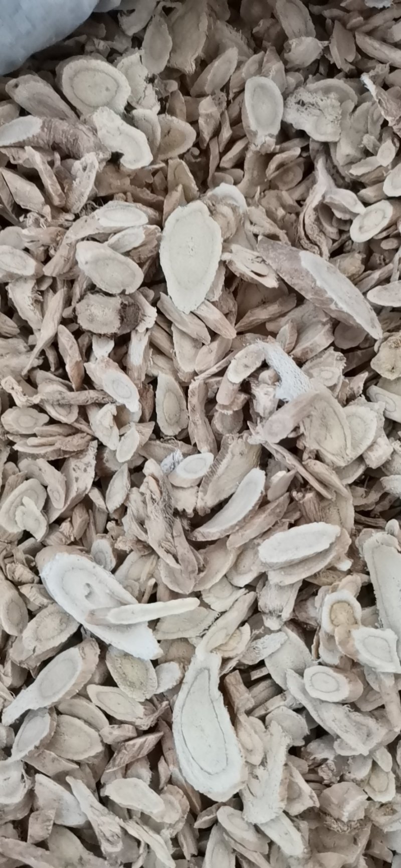 黄芪产地直供大量批发零售