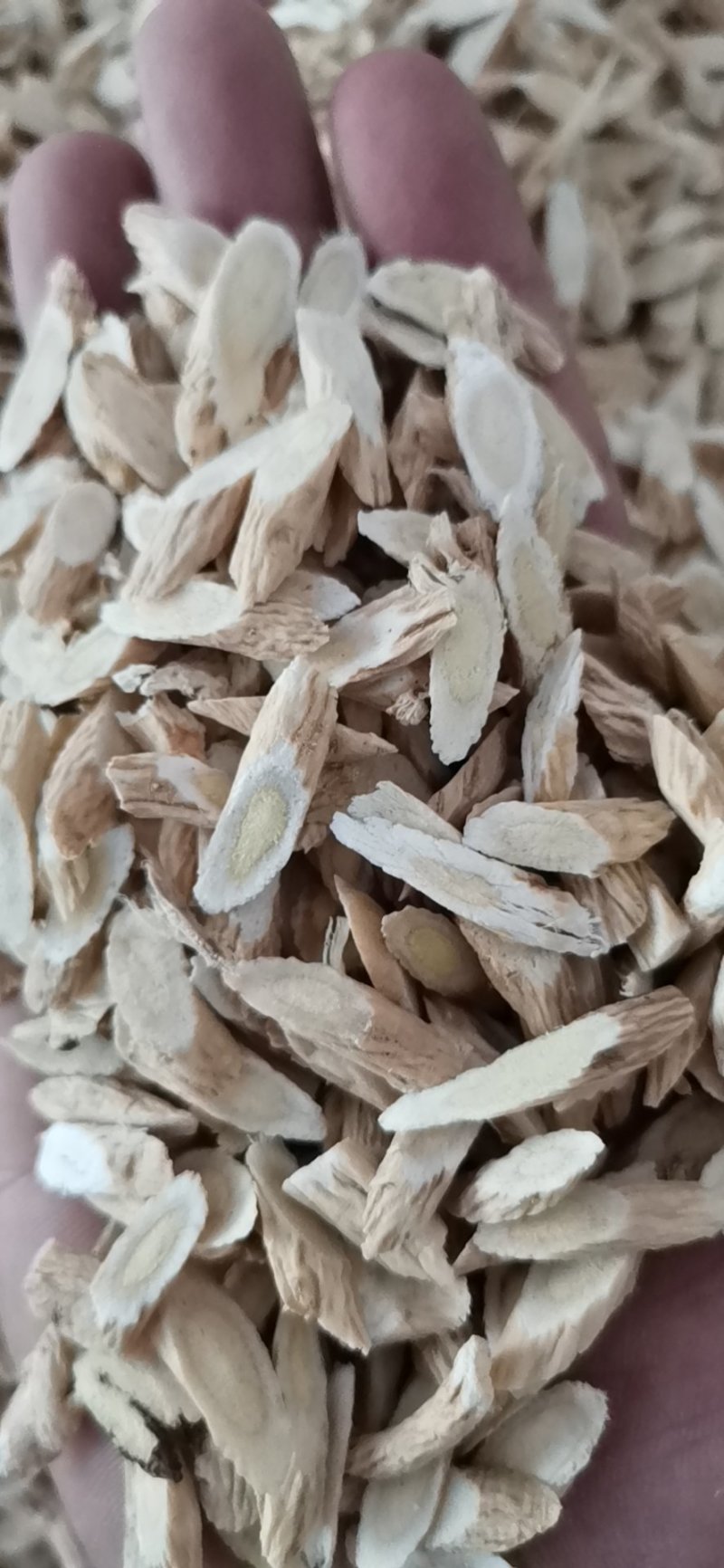 指甲片黄芪大量批发零售