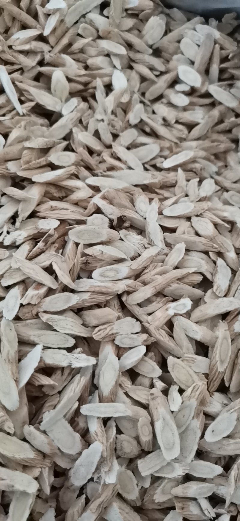 指甲片黄芪大量批发零售