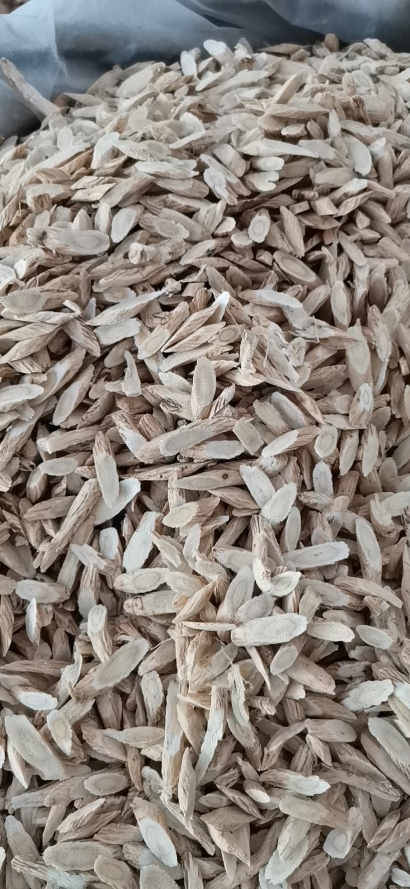 指甲片黄芪大量批发零售