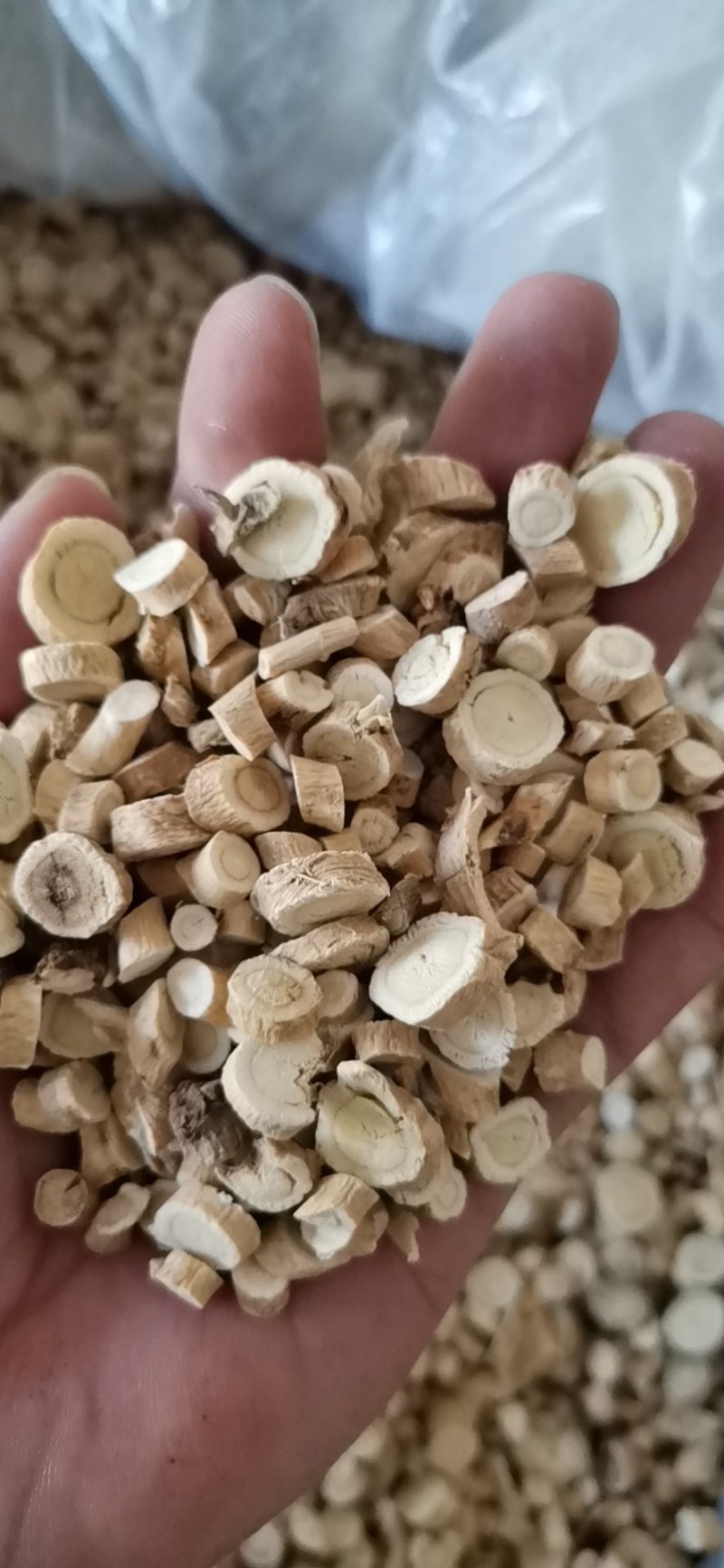 黄芪圆片过5个筛大量批发零售