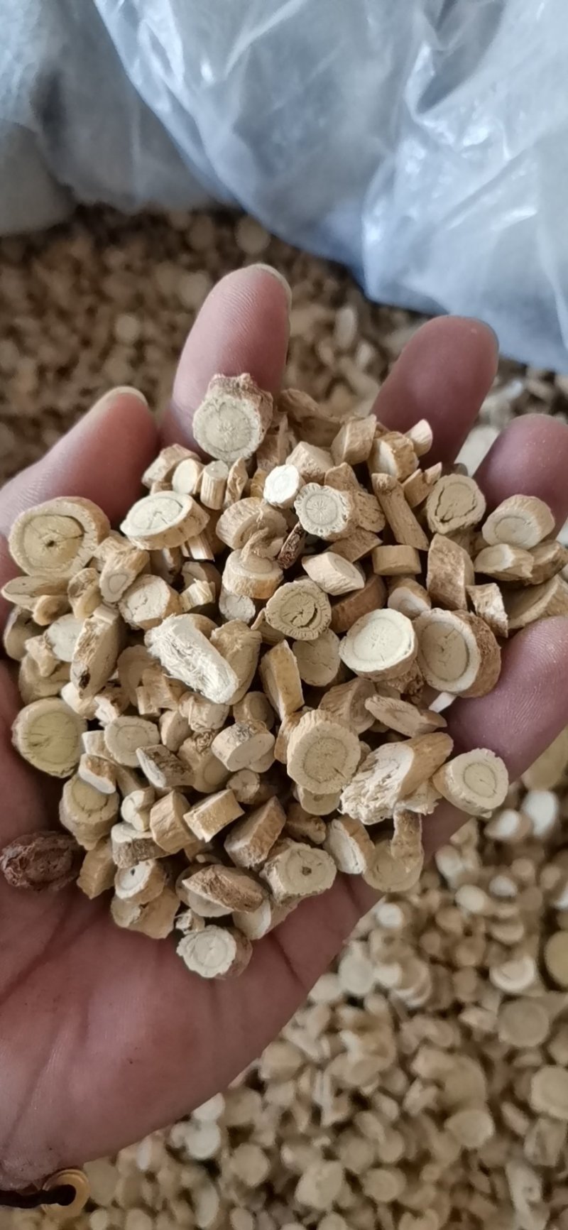 黄芪圆片过5个筛大量批发零售