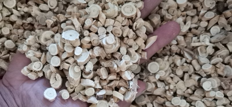 黄芪圆片过5个筛大量批发零售