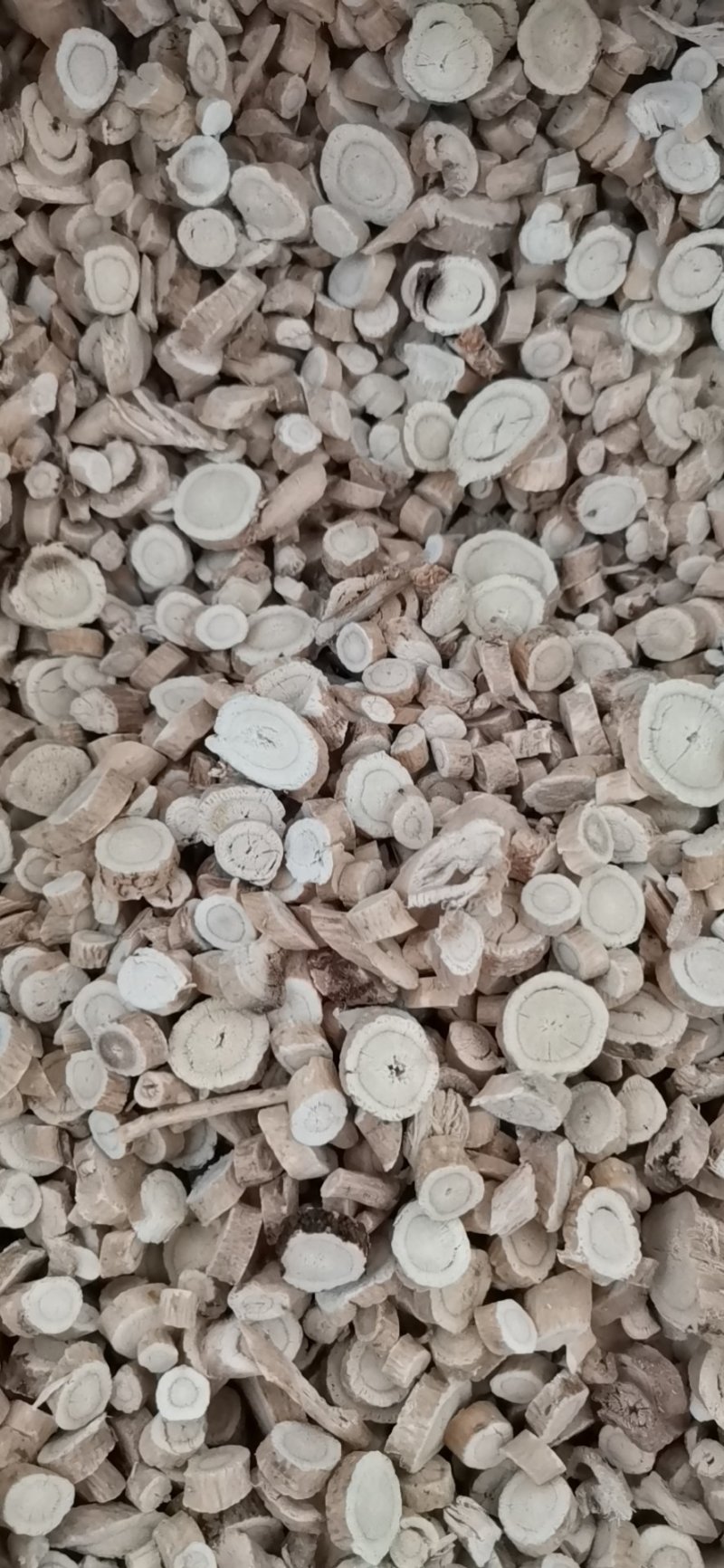 黄芪圆片过5个筛大量批发零售