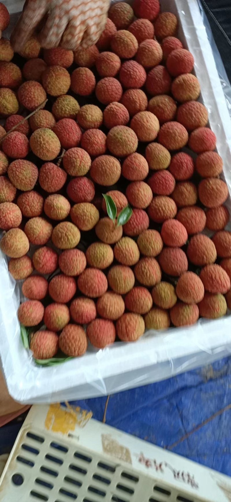 水果