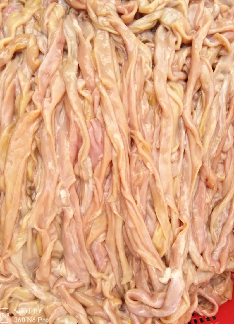 新鲜冰冻鸭胗鸭肠火锅精品火锅大排档，饭堂精品