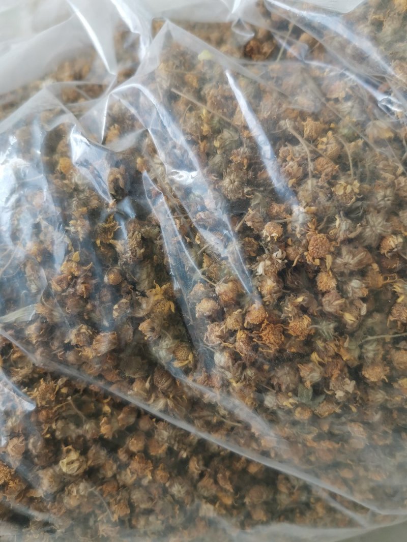 野菊花新货出来了湖北野菊花产地，自己加工，保证质量新鲜