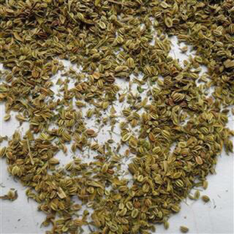 昌玉药材蛇床子产地直销薄利多销