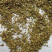 昌玉药材蛇床子产地直销薄利多销