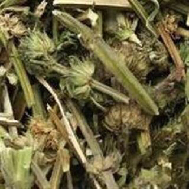 昌玉药材益母草产地直销薄利多销