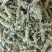 昌玉药材荆芥穗产地直销薄利多销