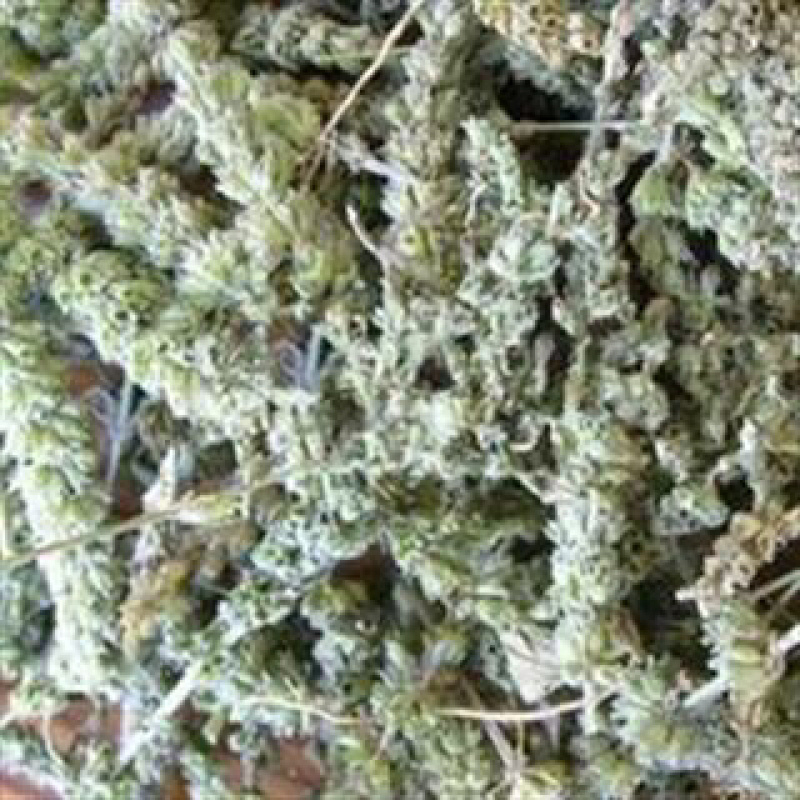 昌玉药材荆芥穗产地直销薄利多销