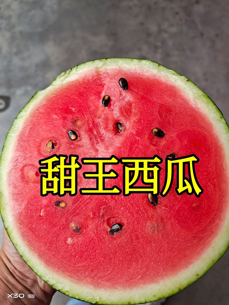 【西瓜】新鲜上市品质好价格低视频看货【代发全国】