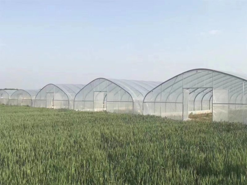 【热销产品】蔬菜大棚钢管大棚椭圆管大棚