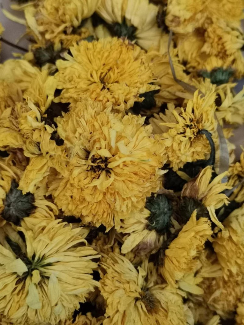 皇菊花茶大量批发零售