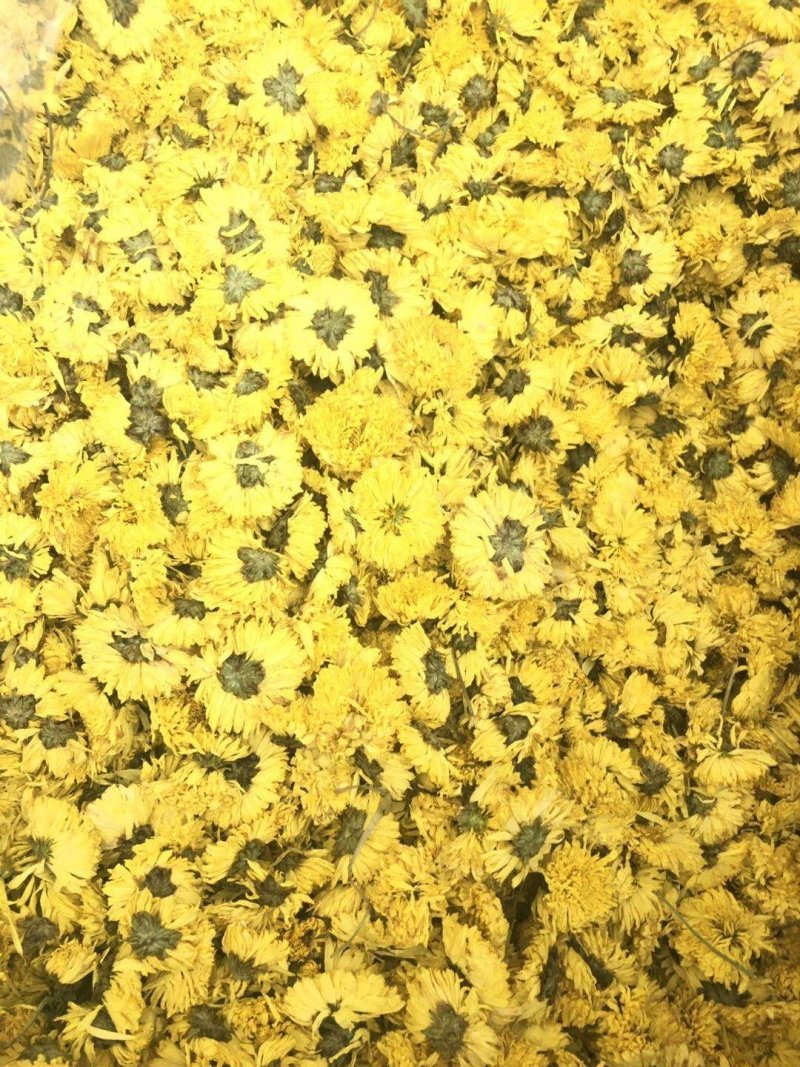 皇菊花茶大量批发零售