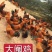 黄母鸡，黑毛土鸡，鸡兰，阉鸡，生鸡