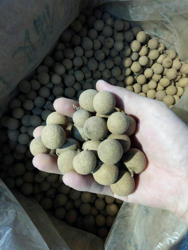 批发【龙眼干桂圆肉】干度十足整箱批发一手货源实惠价