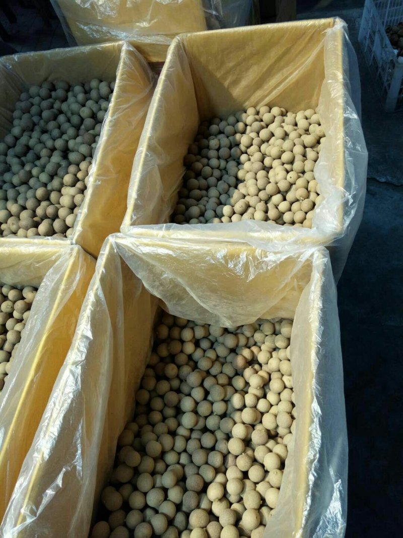 批发【龙眼干桂圆肉】干度十足整箱批发一手货源实惠价