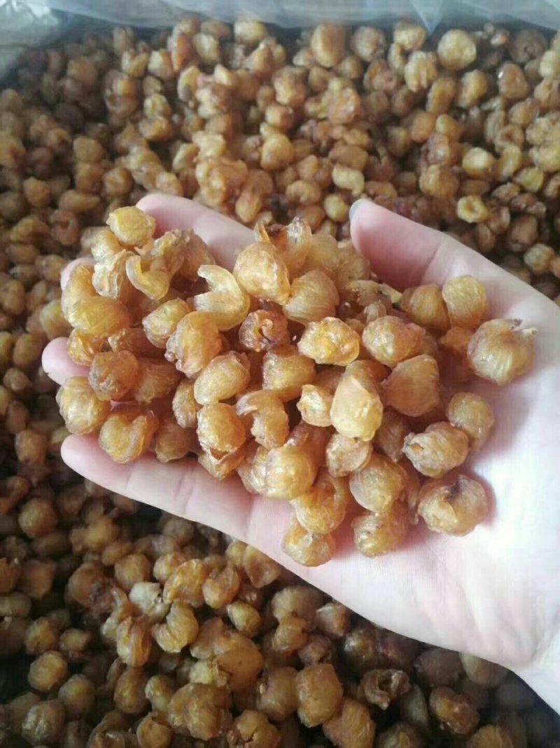 批发【龙眼干桂圆肉】干度十足整箱批发一手货源实惠价