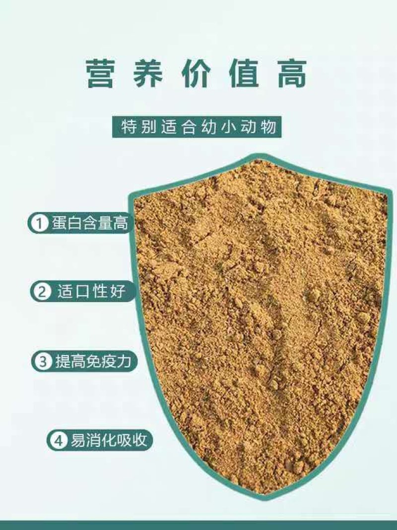 动物性饲料鱼大卖粉鱼粉生产厂家一手货源质优价廉