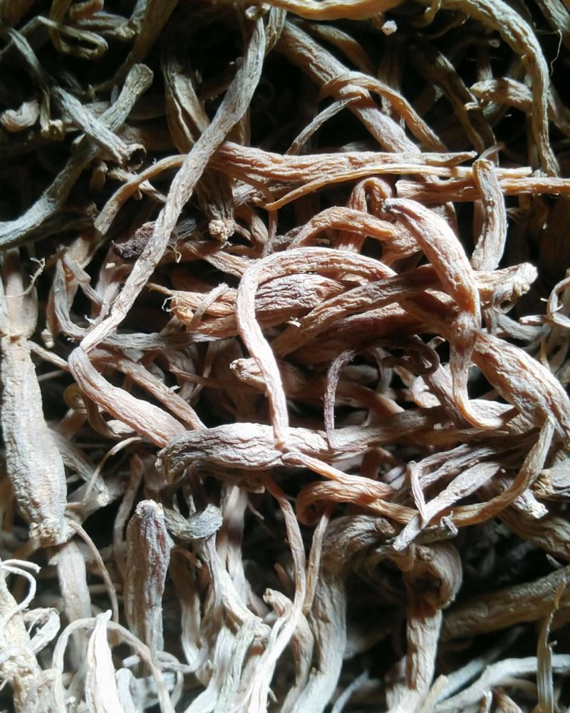 【精品】云南晒干太子参，干度好，纯净，量少零售价另商议