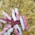四粒红红米花生鲜货带壳