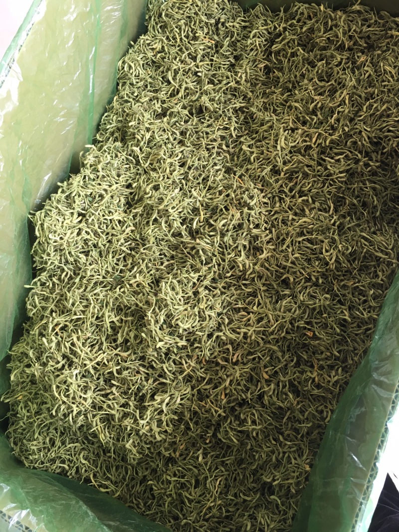 金银花绿版金银花2025年新金银花