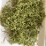 金银花绿版金银花2025年新金银花