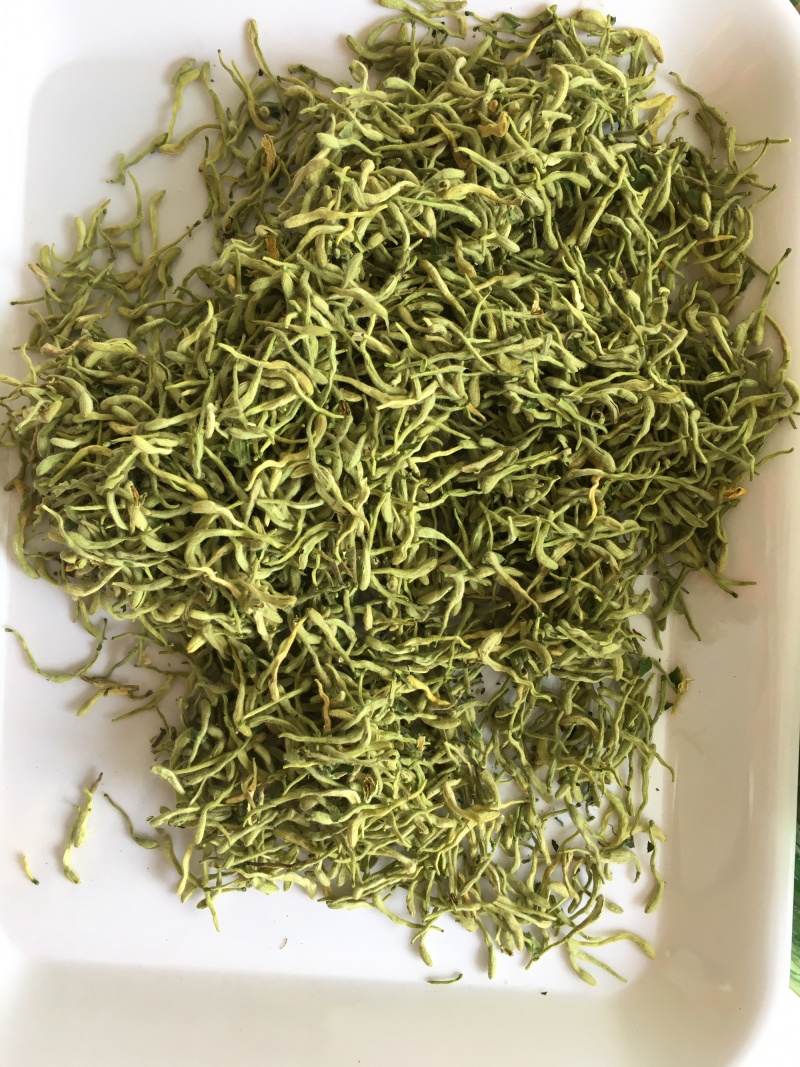 金银花绿版金银花2025年新金银花